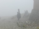 DSCN7207.JPG