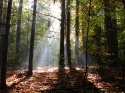 DSCN3398.JPG