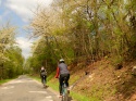 DSCN6747.JPG