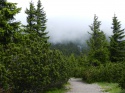 DSCN7203.JPG