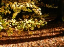 DSCN3399.JPG