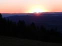 IMG_ 028.jpg