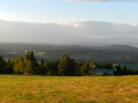 IMG_ 009.jpg