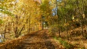DSCN3502.JPG